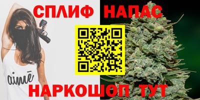 спиды Краснодар