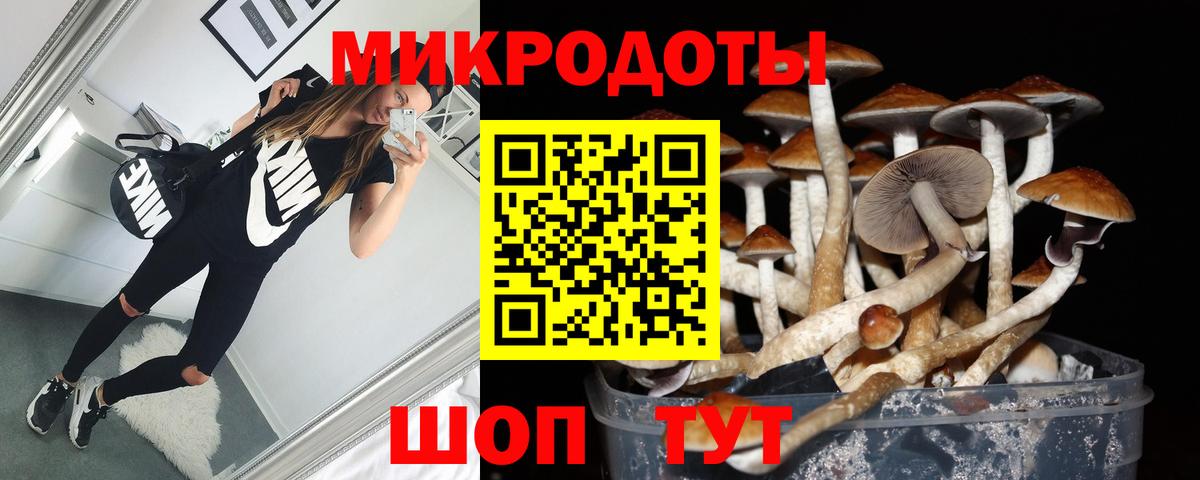 Кимовск  Псилоцибиновые грибы мицелий  Вход с VPN  Псилоцибиновые грибы мухоморы 