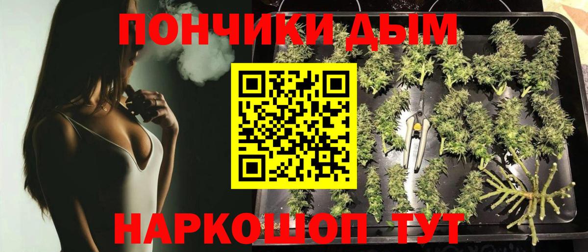 Каннабис сатива  Вход с VPN  Кимовск  Канабис планчик 
